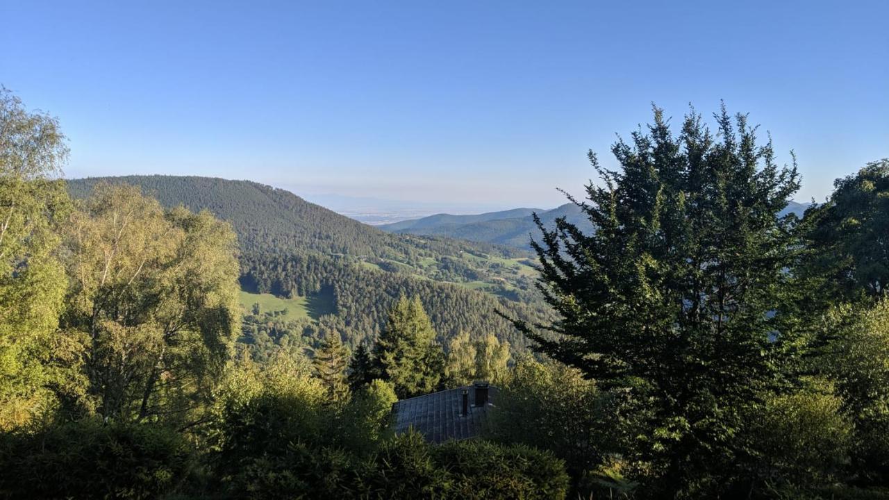 Apigite68, Proche Route Des Vins, Vosges, Colmar Et Non Loin D'Europa-Park! Ostheim Luaran gambar